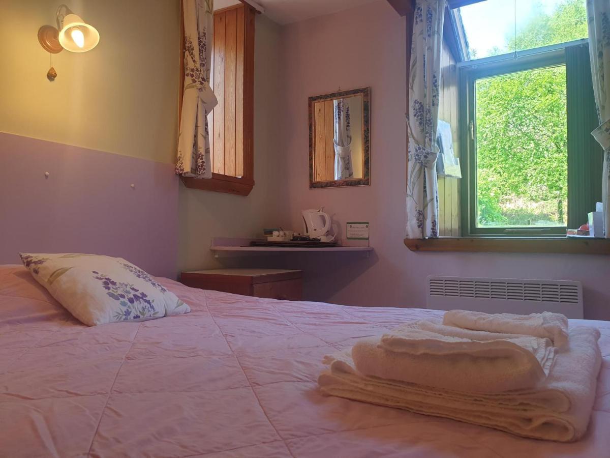 Bryn Elltyd Eco House ξενώνας Blaenau Ffestiniog Εξωτερικό φωτογραφία