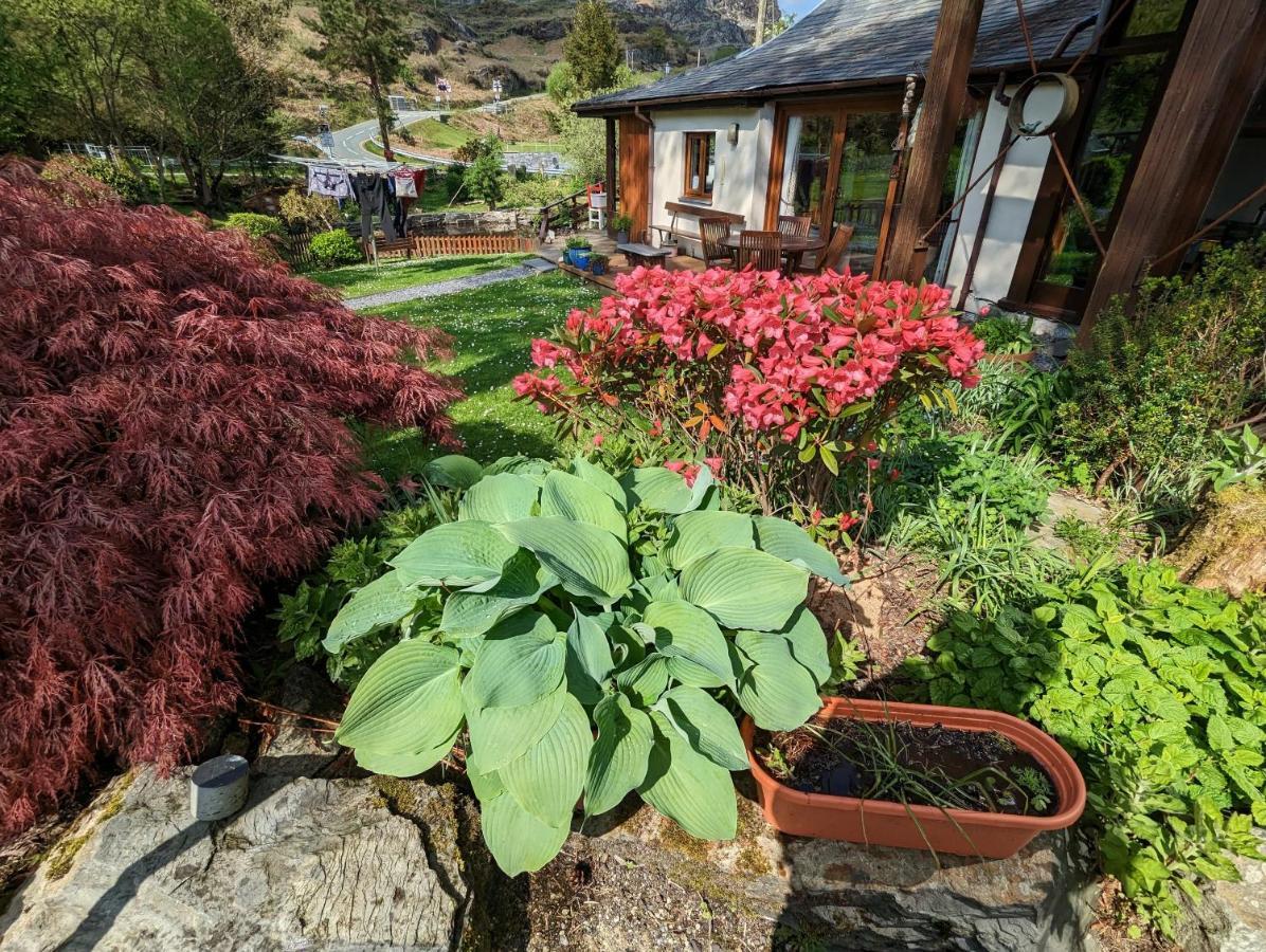 Bryn Elltyd Eco House ξενώνας Blaenau Ffestiniog Εξωτερικό φωτογραφία