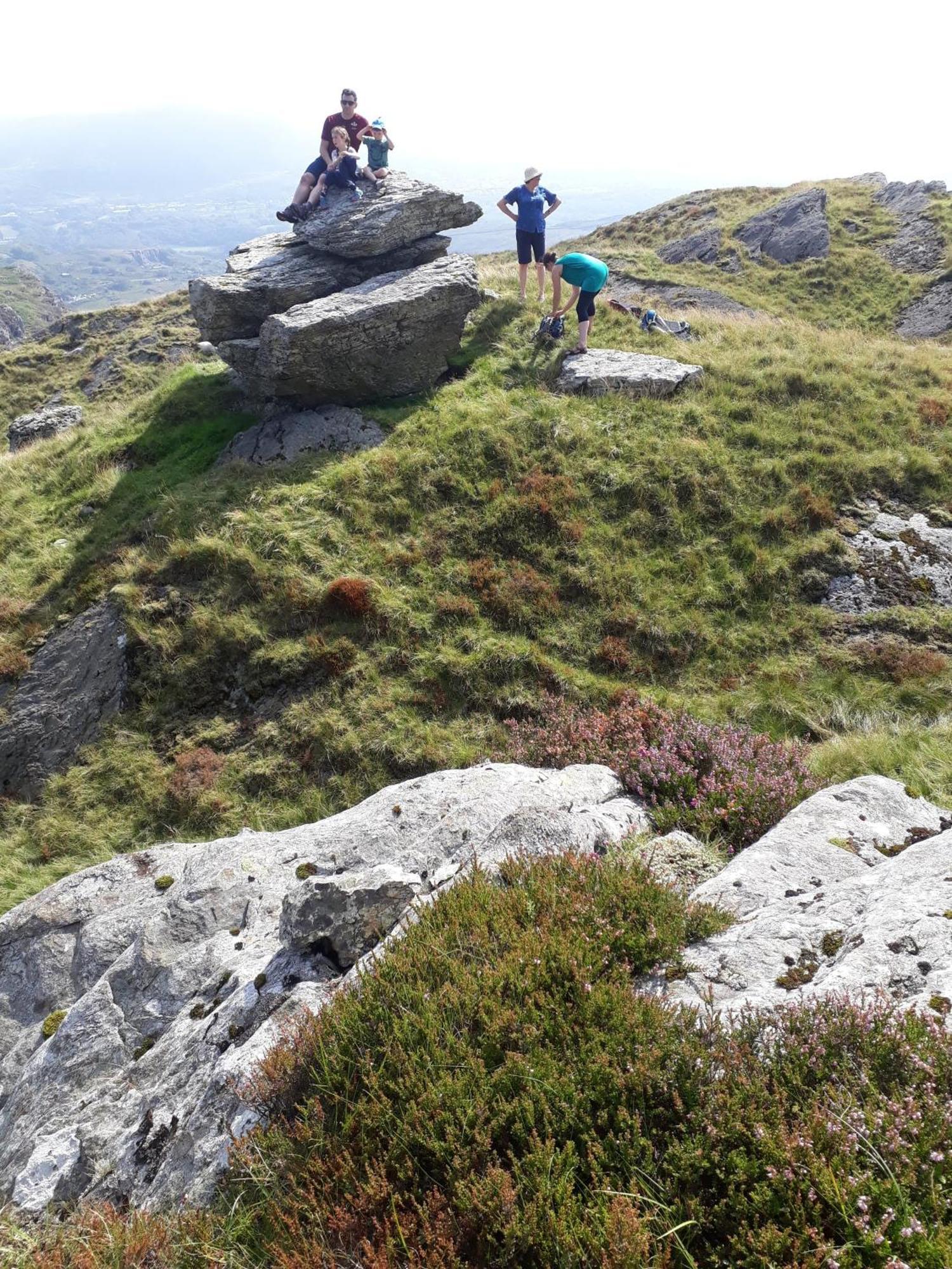 Bryn Elltyd Eco House ξενώνας Blaenau Ffestiniog Εξωτερικό φωτογραφία
