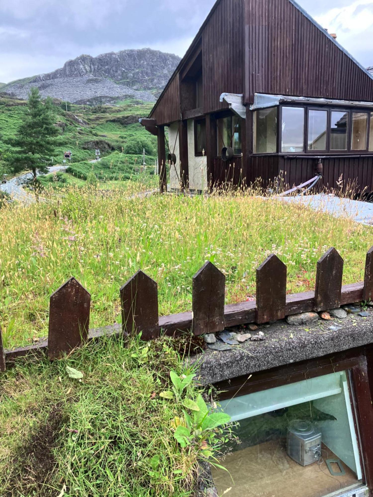 Bryn Elltyd Eco House ξενώνας Blaenau Ffestiniog Εξωτερικό φωτογραφία