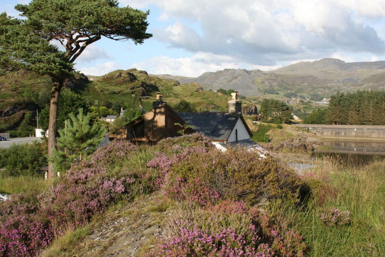 Bryn Elltyd Eco House ξενώνας Blaenau Ffestiniog Εξωτερικό φωτογραφία