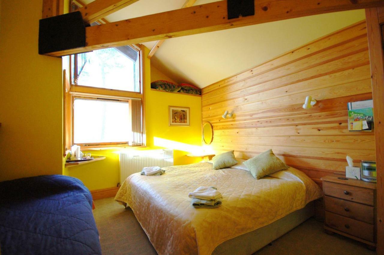 Bryn Elltyd Eco House ξενώνας Blaenau Ffestiniog Εξωτερικό φωτογραφία